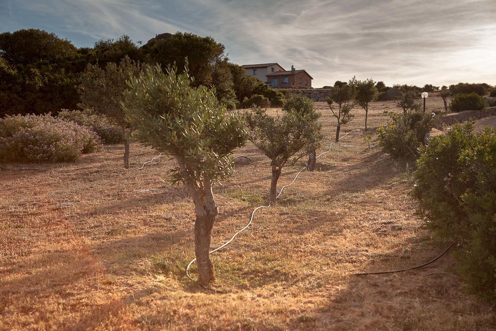 Willa Agriturismo Nuraghe Tuttusoni Aglientu Zewnętrze zdjęcie